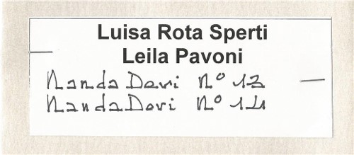 Luisa Rota Sperti